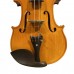 Firefeel S-14644 Violina